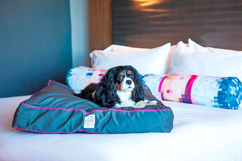 Aloft Miami Dadeland