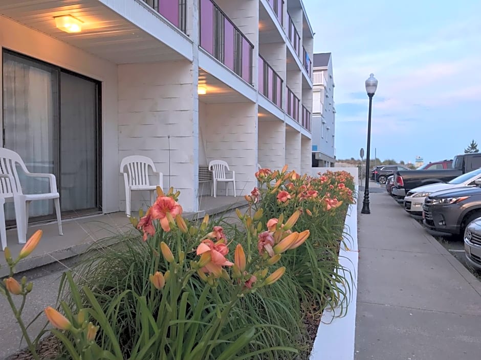 Simple Life Motel