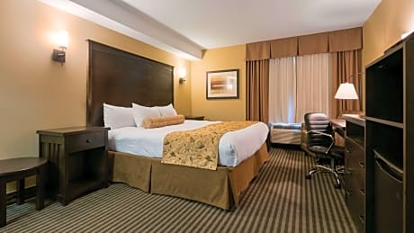 Suite-1 King Bed - Non-Smoking, Separate Bedroom, Refrigerator, Sofabed, 32-Inch Lcd Television, Continental Breakfast