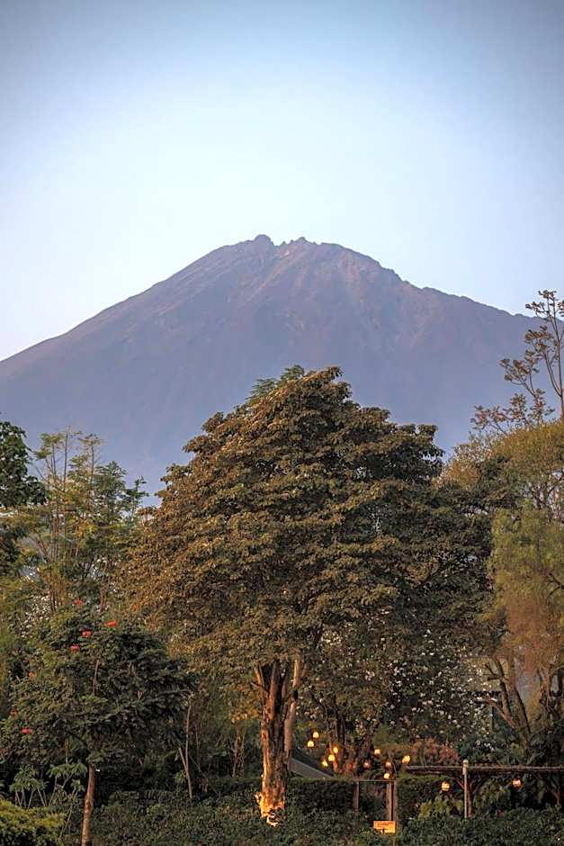 Gran Melia Arusha