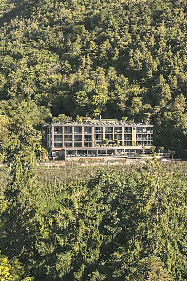 Avidea - Adults Only