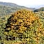 Casa Rural Ecológica Kaaño Etxea el Bosque y la Naturaleza Sentir