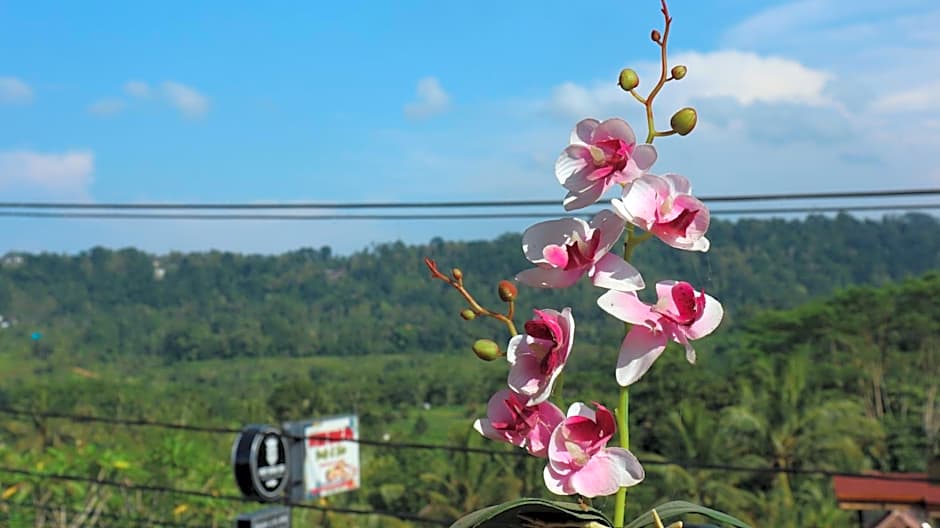 Blue Paradise Guest House