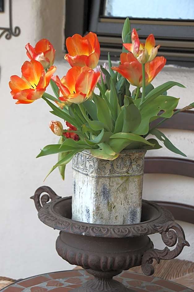 Hazienda Apartmenthotel - Für ein paar Tage oder monatelang