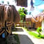 Siargao Tropic Hostel