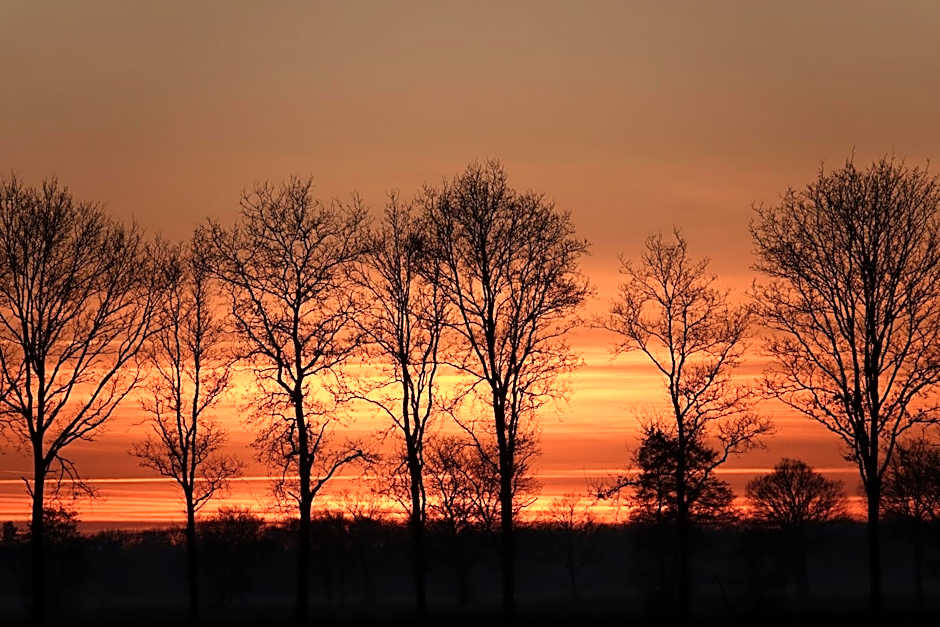 B & B Janneke Elsloo Friesland