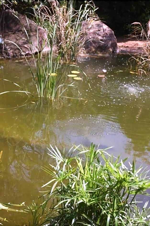 Glenda S Guest Suites