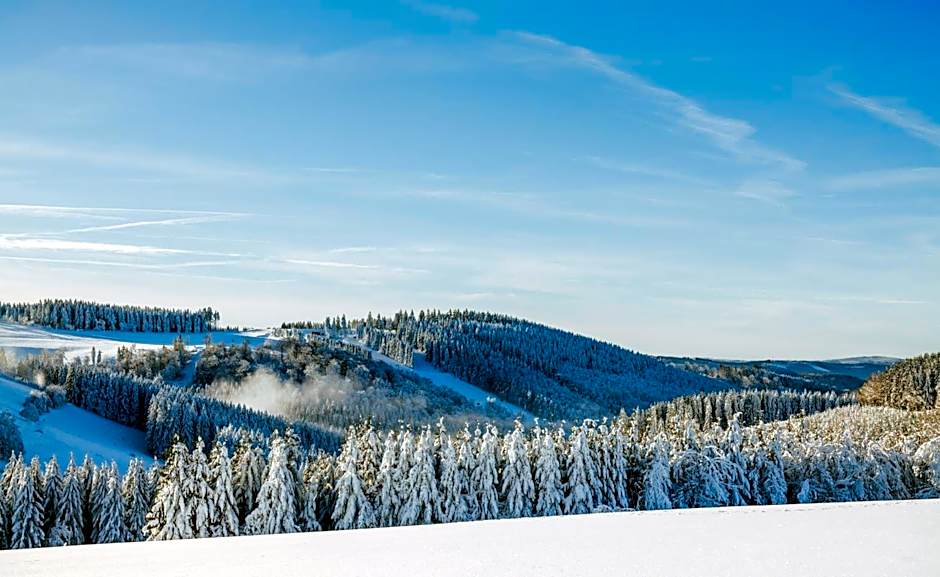 Romantik Berghotel Astenkrone