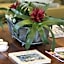Hermanus Guest House