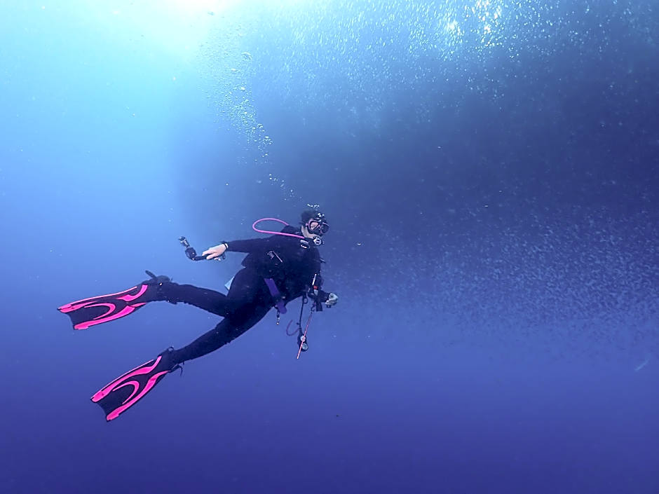 A&C Aquino Guesthouse