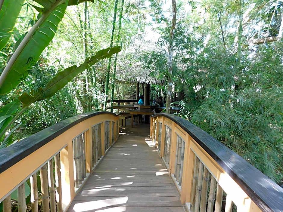 Rainforest Eco Lodge