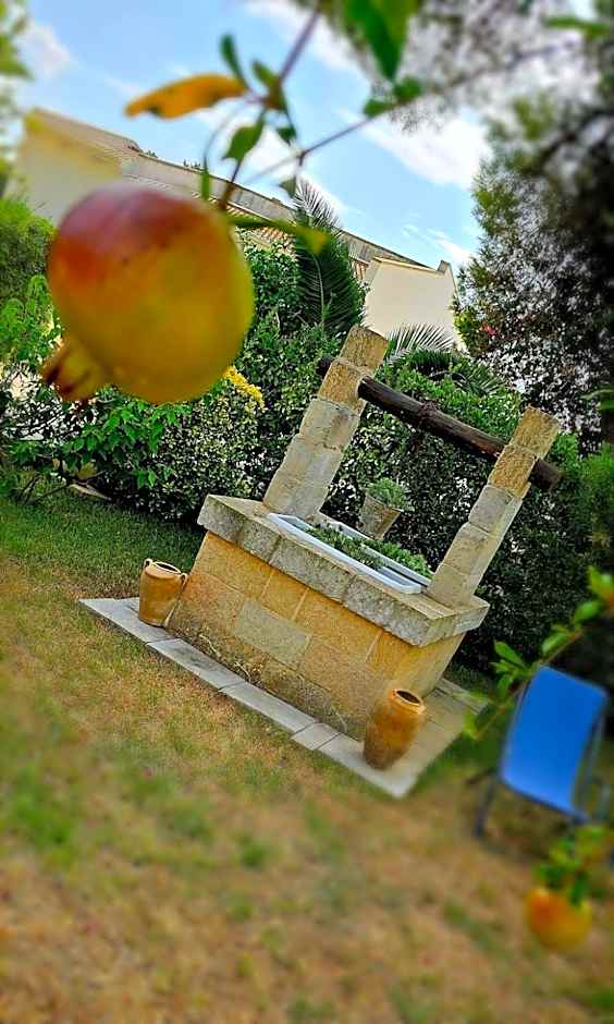 B&B Piccolo Vigneto