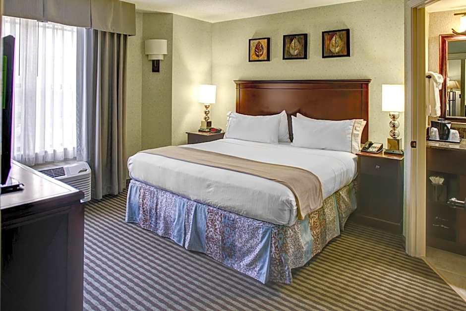 Holiday Inn Express Hotel & Suites Atlanta Buckhead By IHG