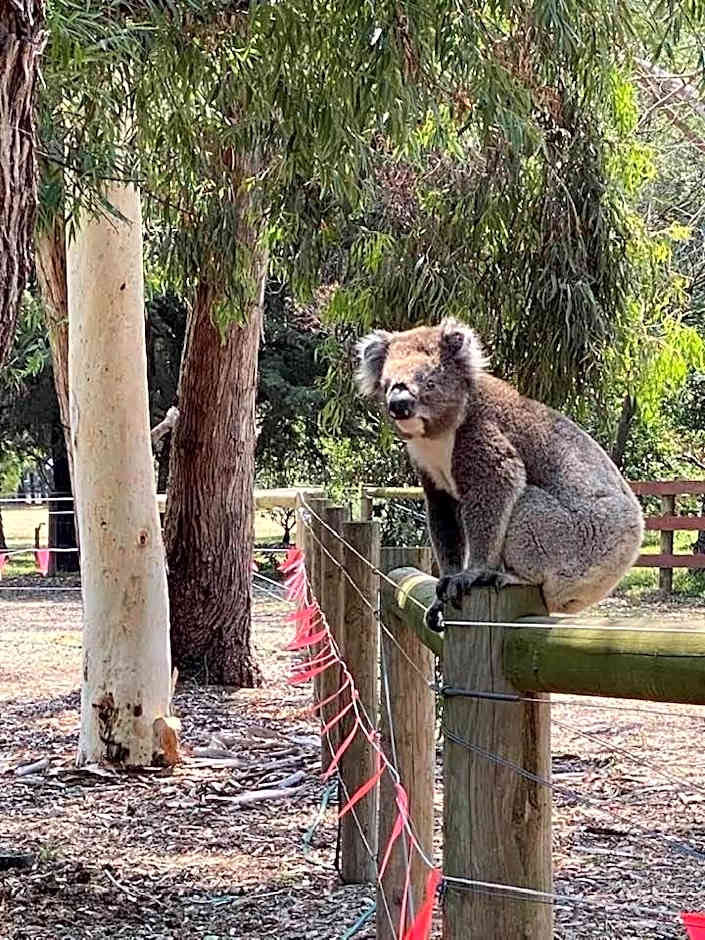 Sherwood Park bed and breakfast