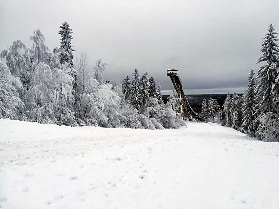 Aparthotel Simpsiönkullas