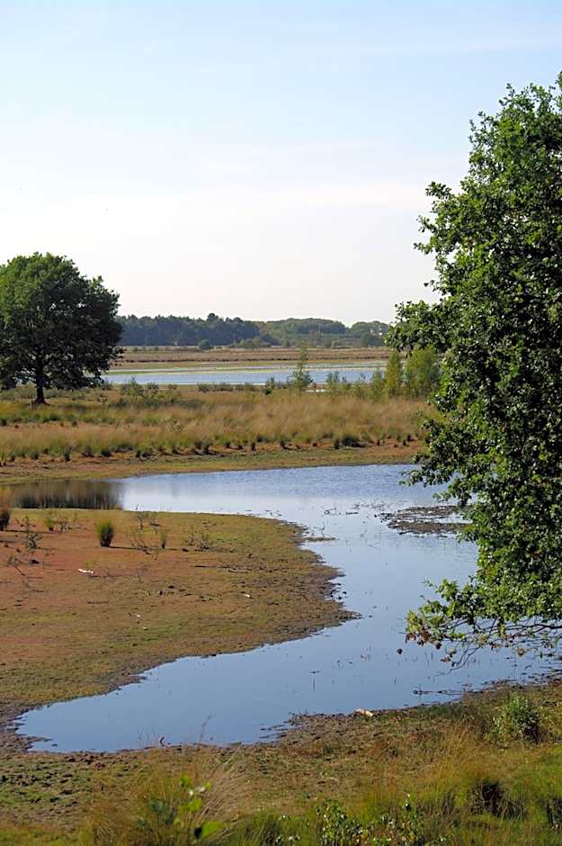 Boutique Hotel en B&B De Zwammenberg