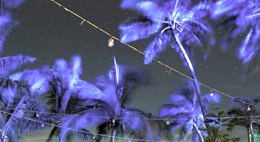 Bamboo House Beach Lodge & Restaurant