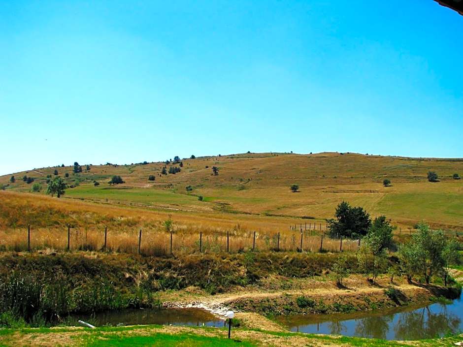 Park Hotel Eagle Stone