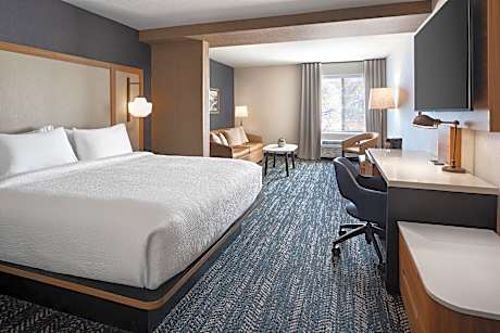 Suite, 1 King, Sofa bed