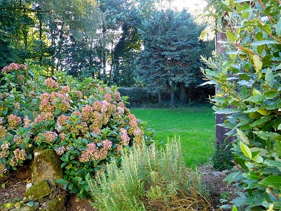 B&B  Repos sous les arbres