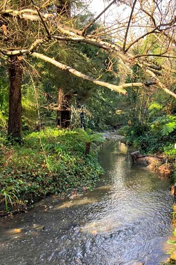 Aldgate Valley Bed and Breakfast