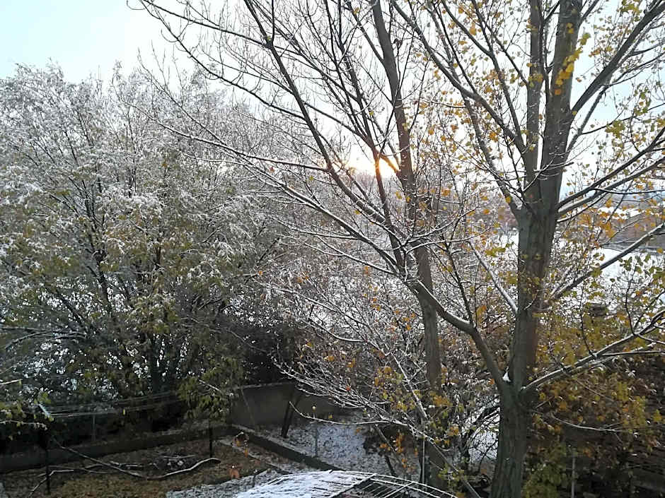 Casa de huéspedes B&B Villa de las Hortensias