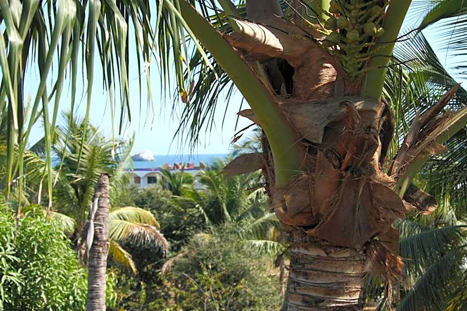Posada Paloma