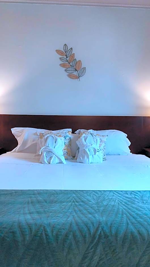 Hotel de Ilhavo Plaza & Spa