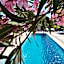 Guesthouse Le Mas de Cotignac