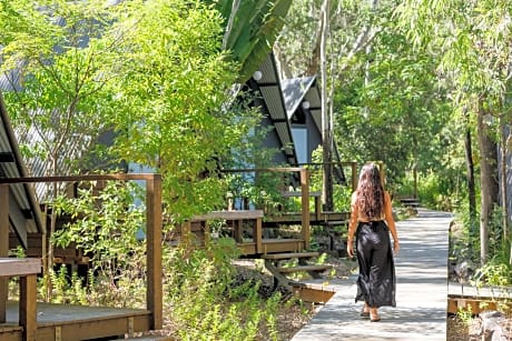Bounce Magnetic Island and Koala Park - formerly Roamer