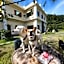 ChunYang Homestay