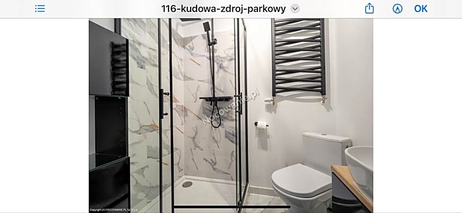 Parkowy Kudowa