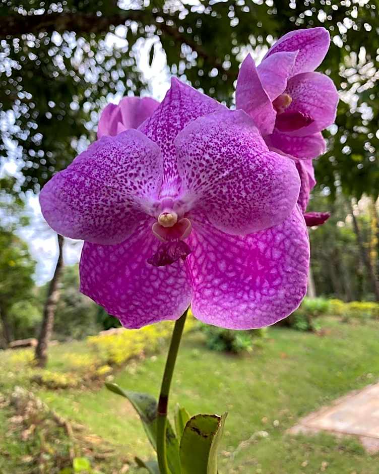 Govinda Moeda Pousada