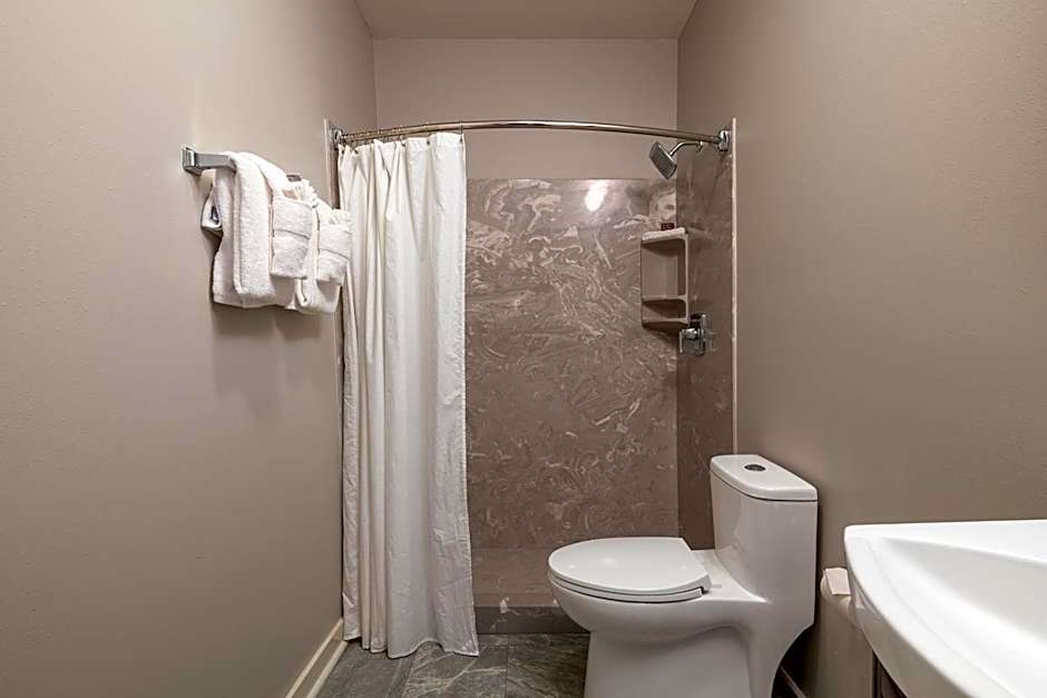 French Quarter Suites Hotel