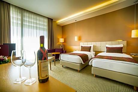 Executive Room with Two Single Beds - Non-Smoking