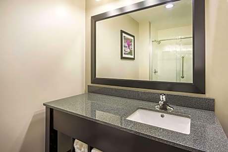 1 King Bed Non-Smoking