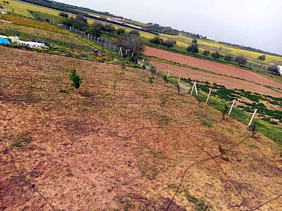 Ferme de Rêve, logement Entier à Louer