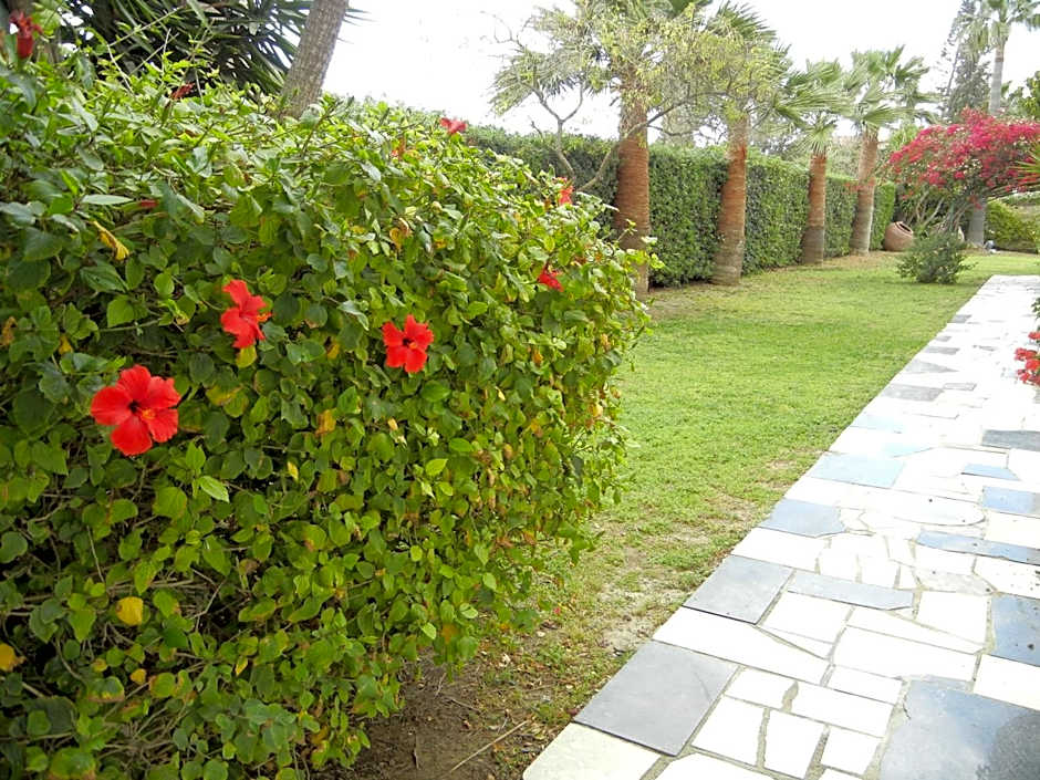 Tsialis Hotel Apartments