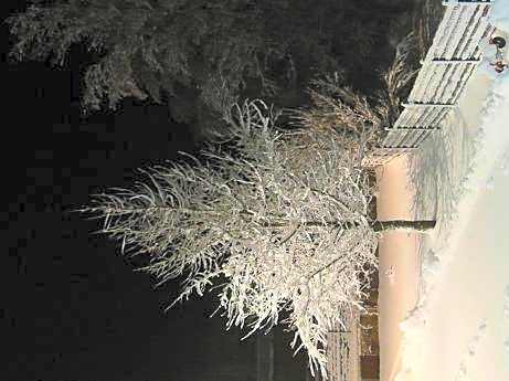 Complejo Turístico Bielsa Hotel y camping