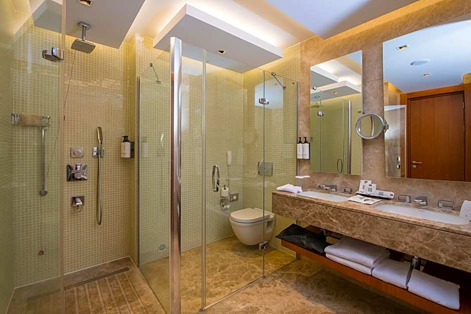 Crowne Plaza Kayseri By IHG