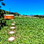 Sani Lodge & Cottages