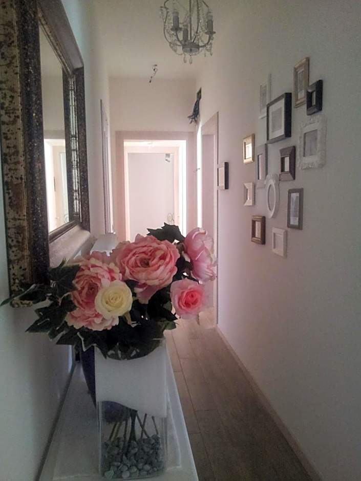 Dear Venice Bed & Breakfast