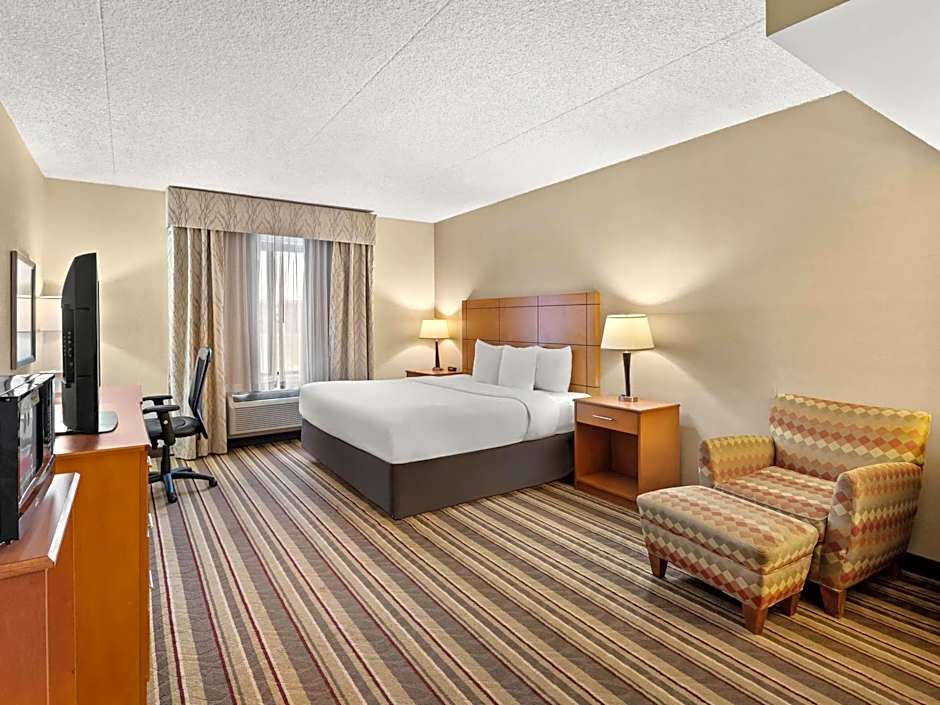 Comfort Inn Metro Airport Romulus