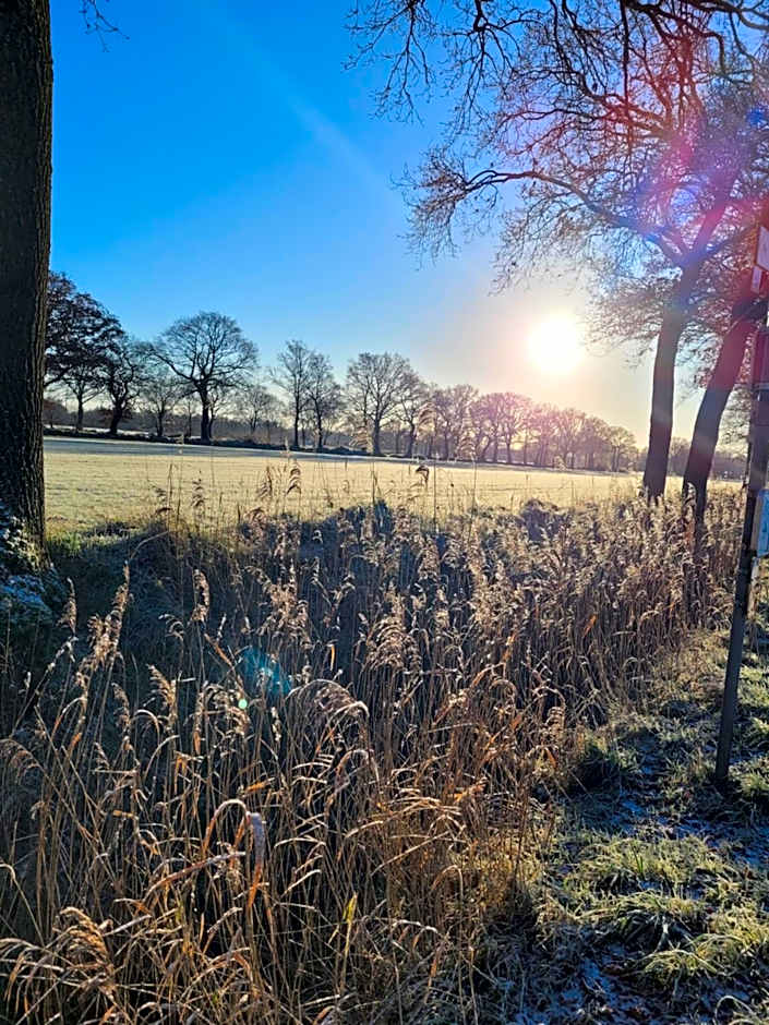 Hotel Garni Kastanjehoff