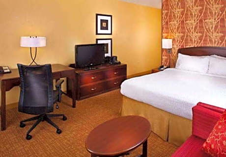 1 King Mobility Accessible Roll In Shower