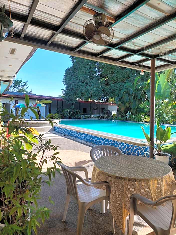 Ice Bear Bar & Tourist Inn