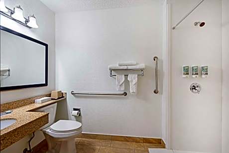 Accessible - 1 King Mobility Accessible Bathtub Sofabed Non-Smoking Full Breakfast