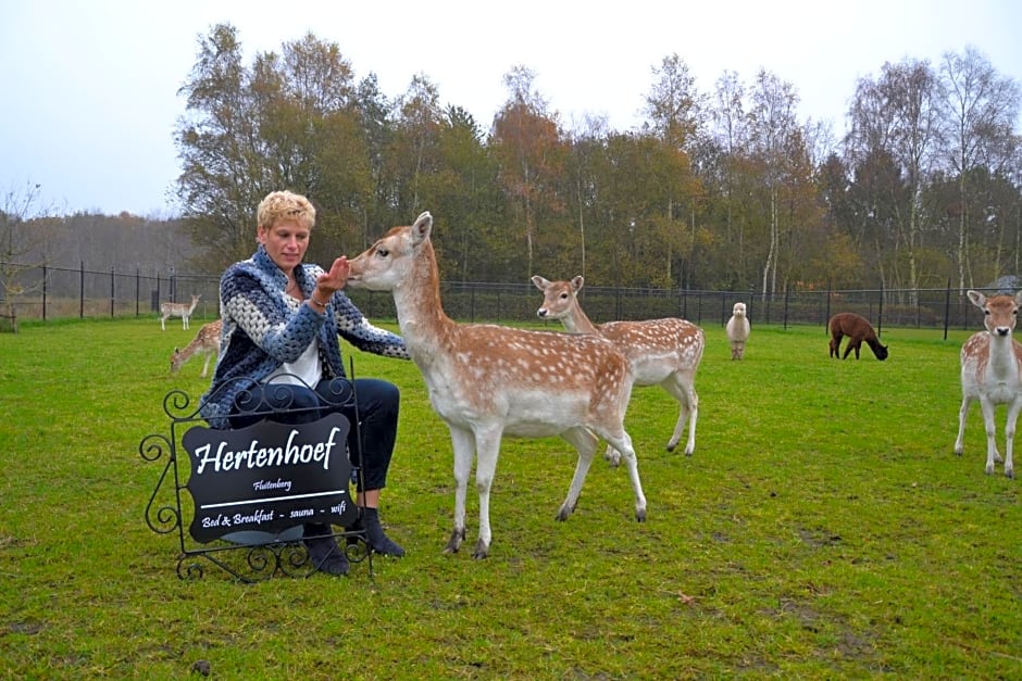 B&B Hertenhoef, Fluitenberg (Hoogeveen)