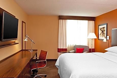 King Suite with Sofa Bed