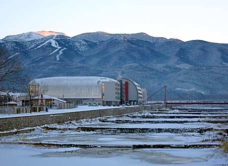 Hotel Arena
